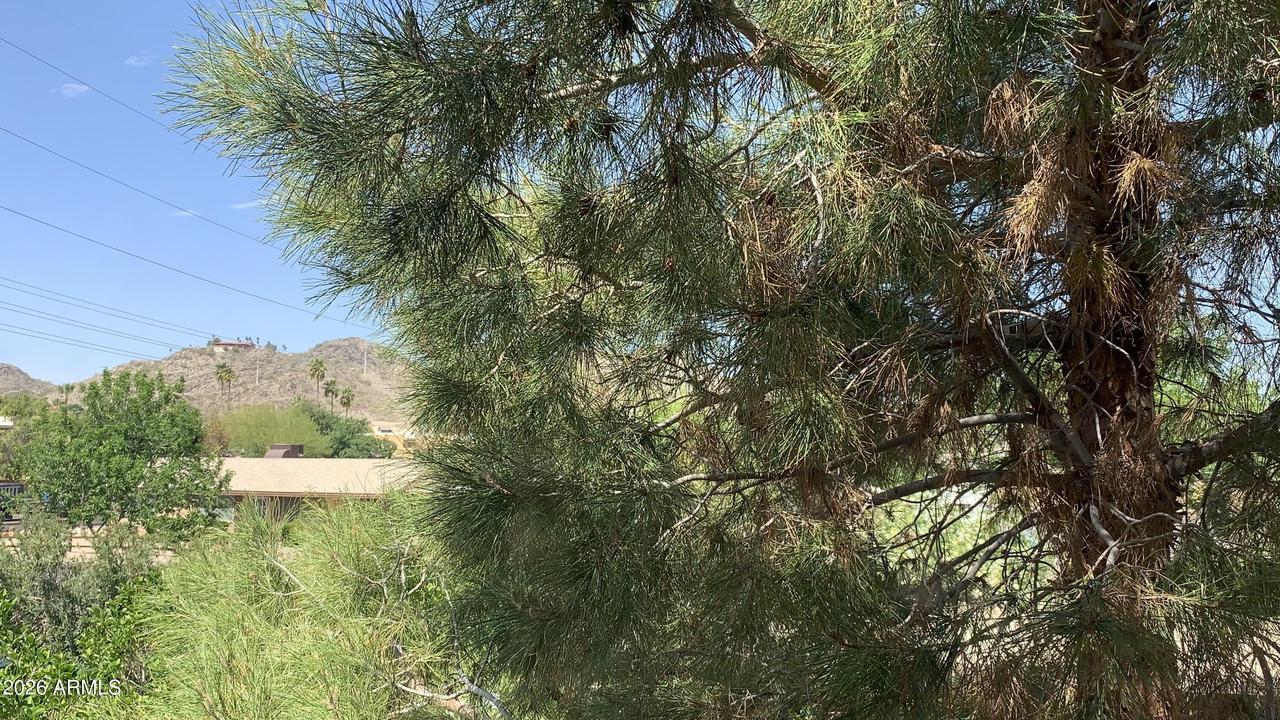10410 N Cave Creek Rd. #2100, Phoenix, AZ 85020