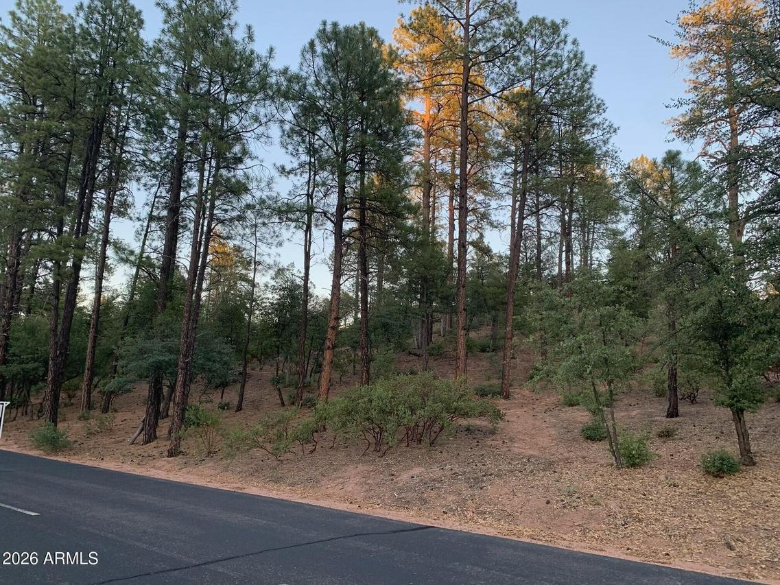 805 S Monument Valley Dr. #166, Payson, AZ 85541