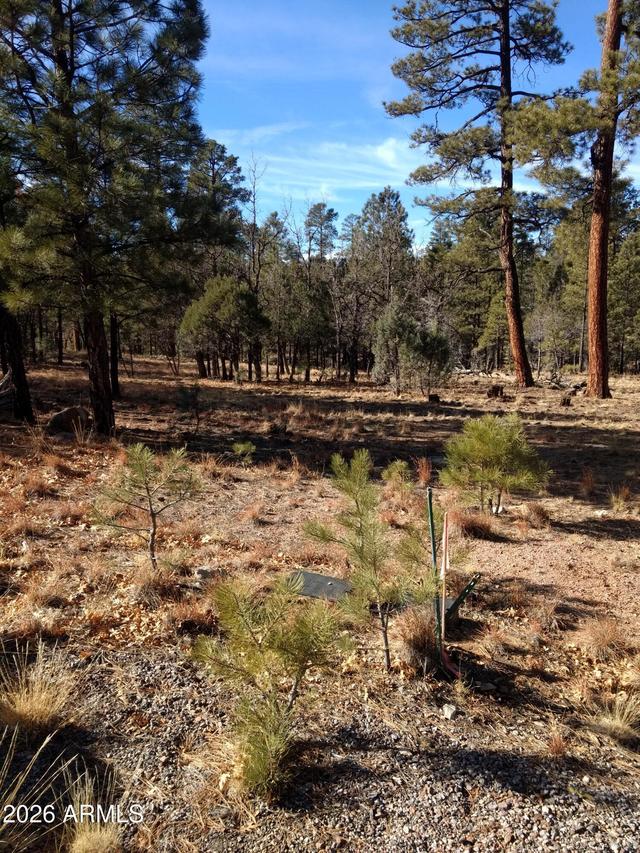 4357 Juniper Dr. #100, Happy Jack, AZ 86024