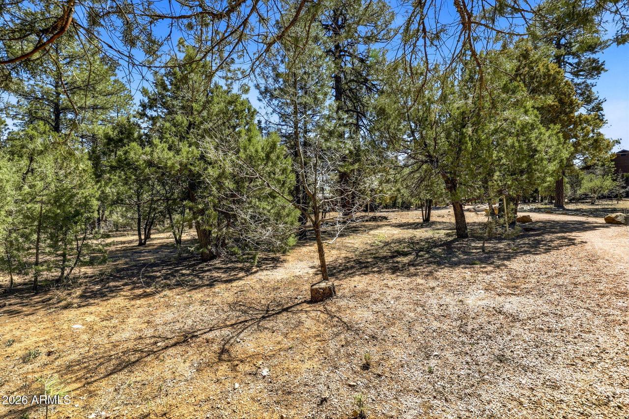 5039 Winter Hawk Ct. #69, Lakeside, AZ 85929
