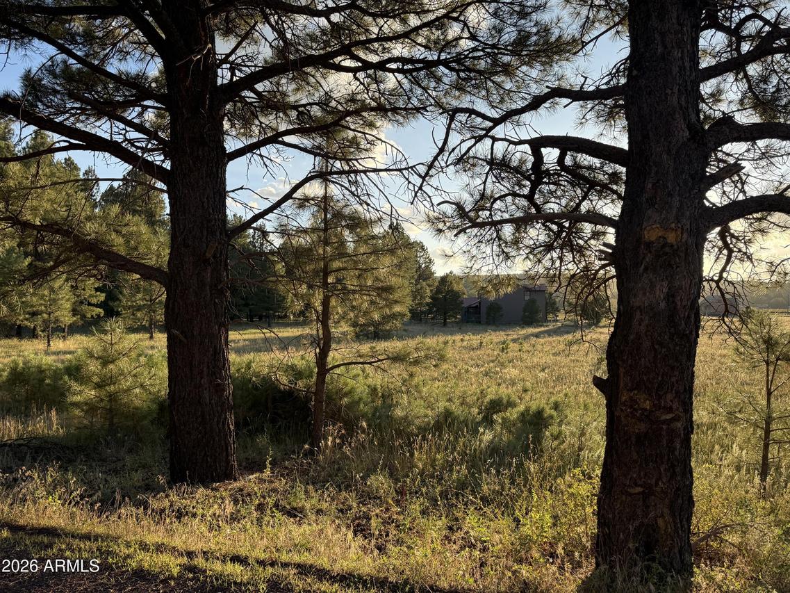 184 High Point Dr. #C, Mormon Lake, AZ 86038