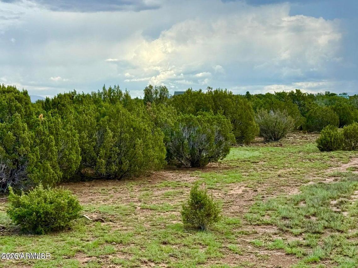 85 Co Rd 8128 #-, Concho, AZ 85924
