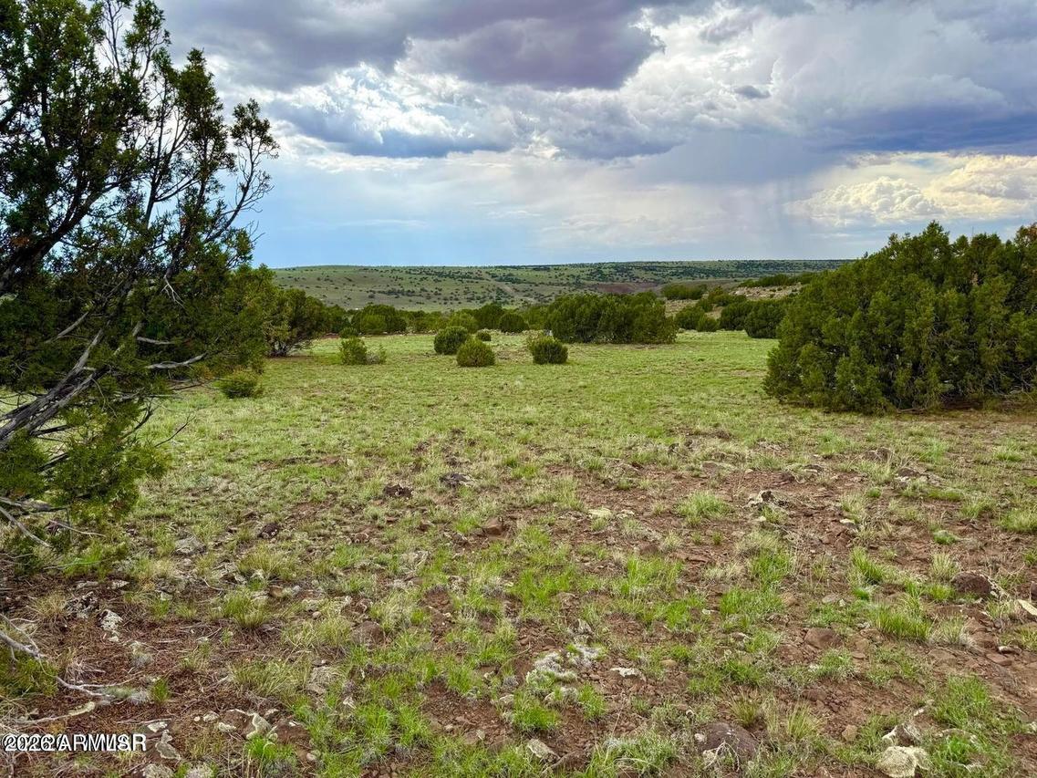 116 Co Rd 8127 #-, Concho, AZ 85924