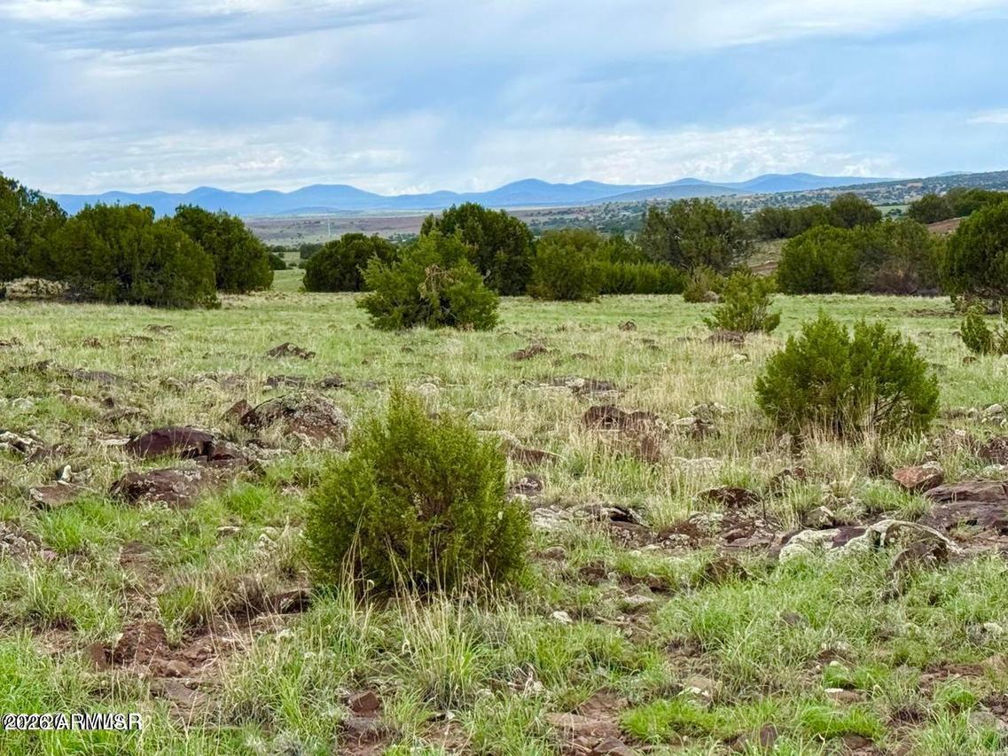 108 Co Rd 8127 #-, Concho, AZ 85924