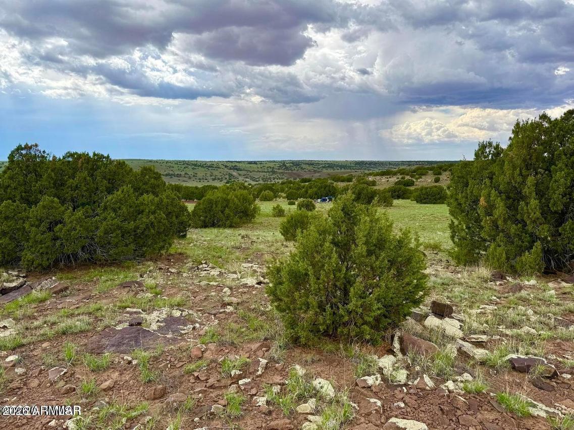 83 Co Rd 8128 #-, Concho, AZ 85924