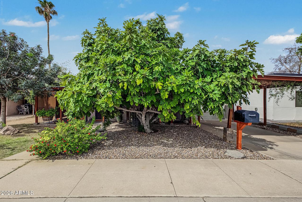 208 N Horne St., Mesa, AZ 85203
