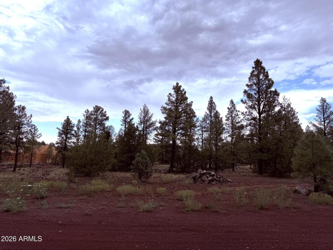 9282 N Copper Ridge Ct. #-, Lakeside, AZ 85929
