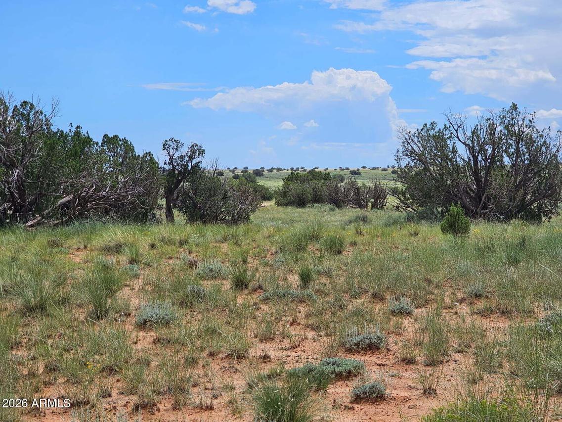 1924 Hutch Rd. #39, Heber, AZ 85928