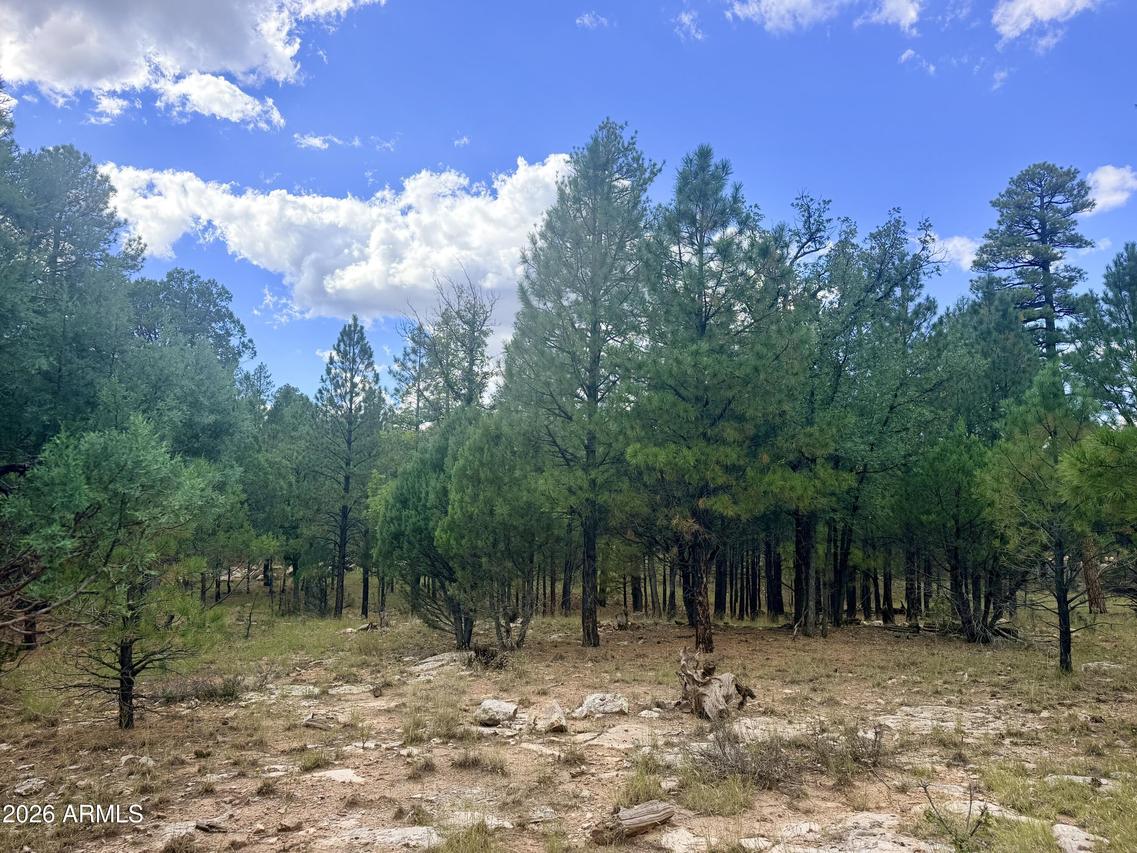 1601 Mule Deer Pl. #120, Happy Jack, AZ 86024