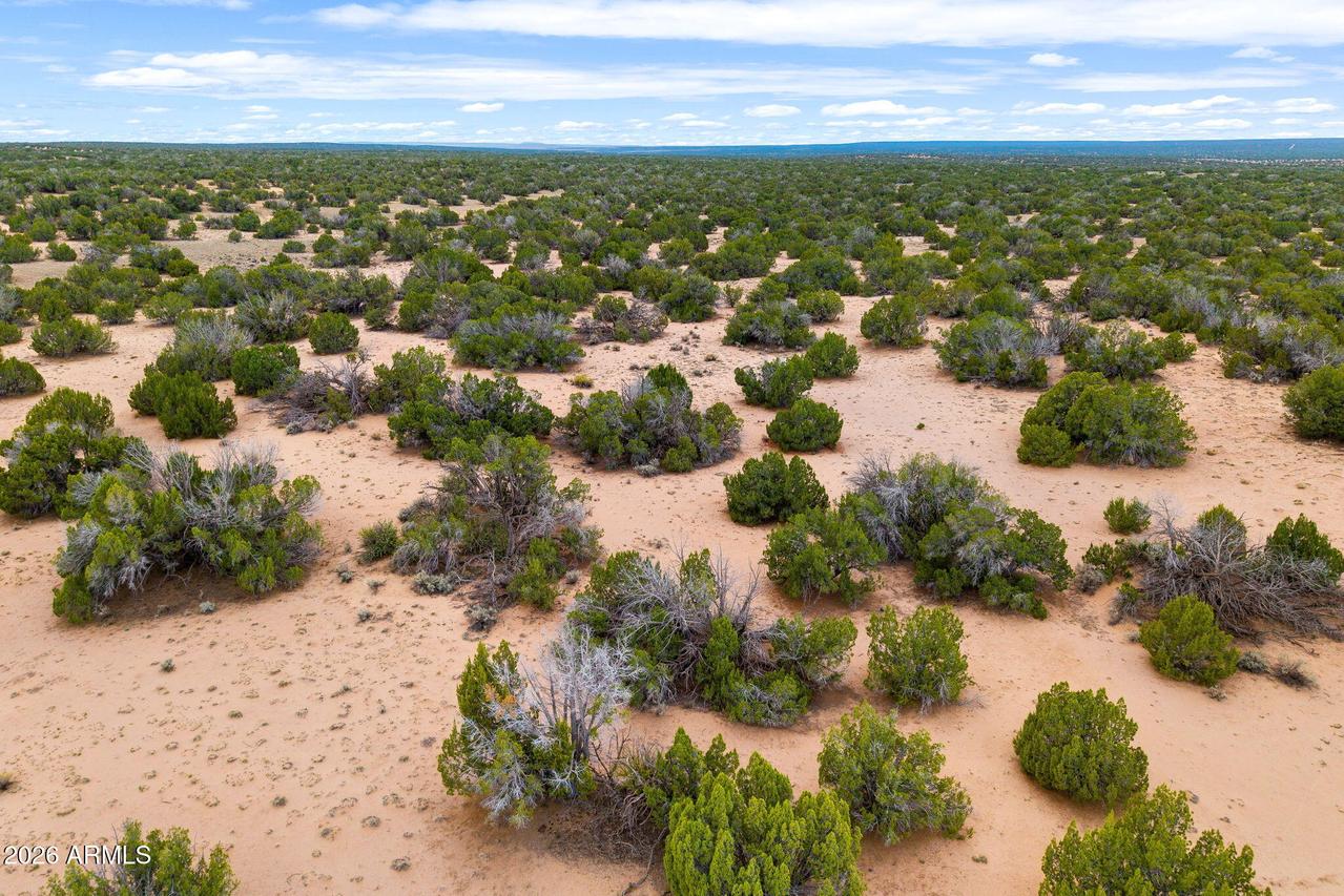 Lot 3 Witch Well Ranches #3, St Johns, AZ 85936