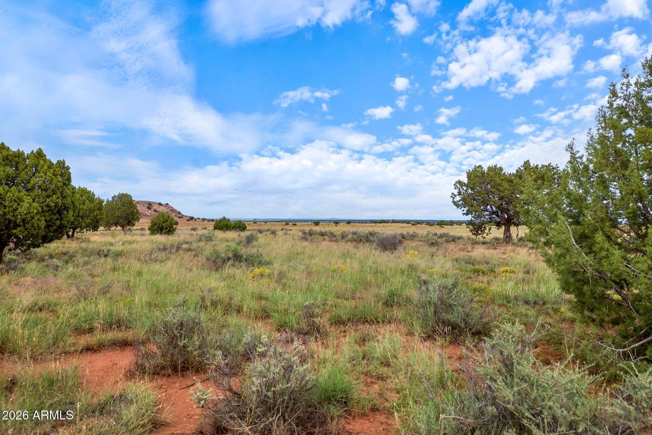 316 County Road 9211 #443, Concho, AZ 85924