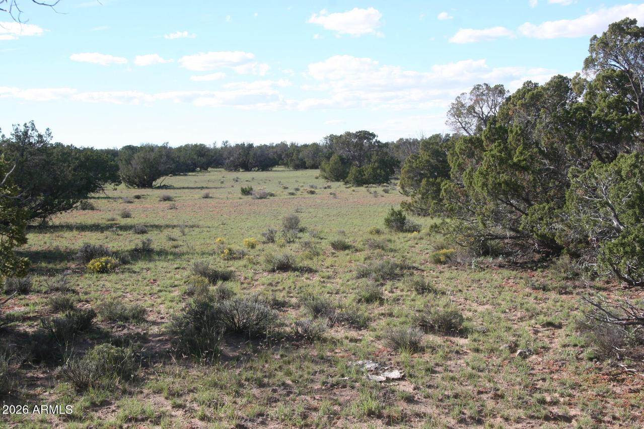 TBD 7230-002 #-, St Johns, AZ 85936