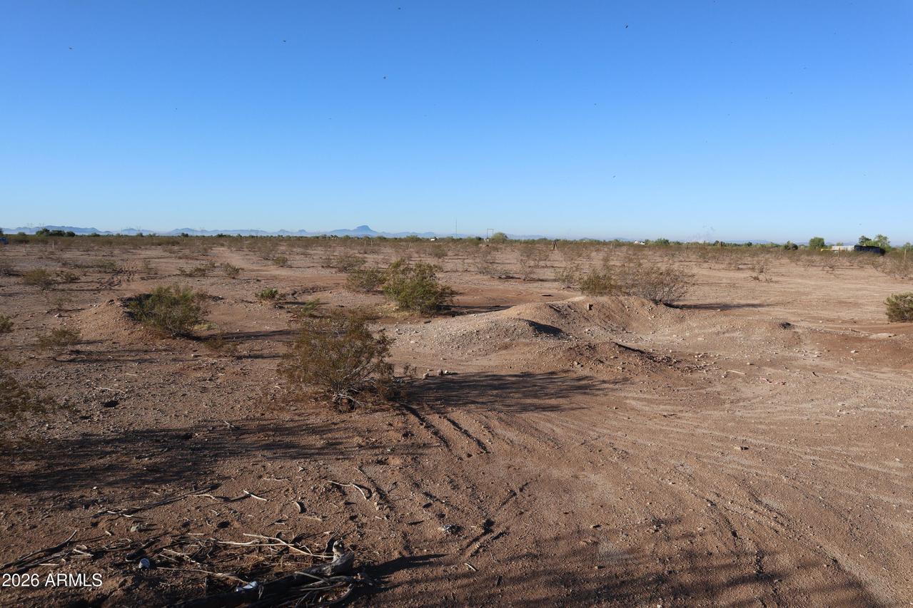 313XX W Flower St. #207, Buckeye, AZ 85396