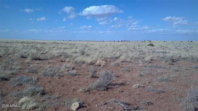 Lot 487 Chevelon Cyn Ranch Unit 3 #487, Heber, AZ 85928