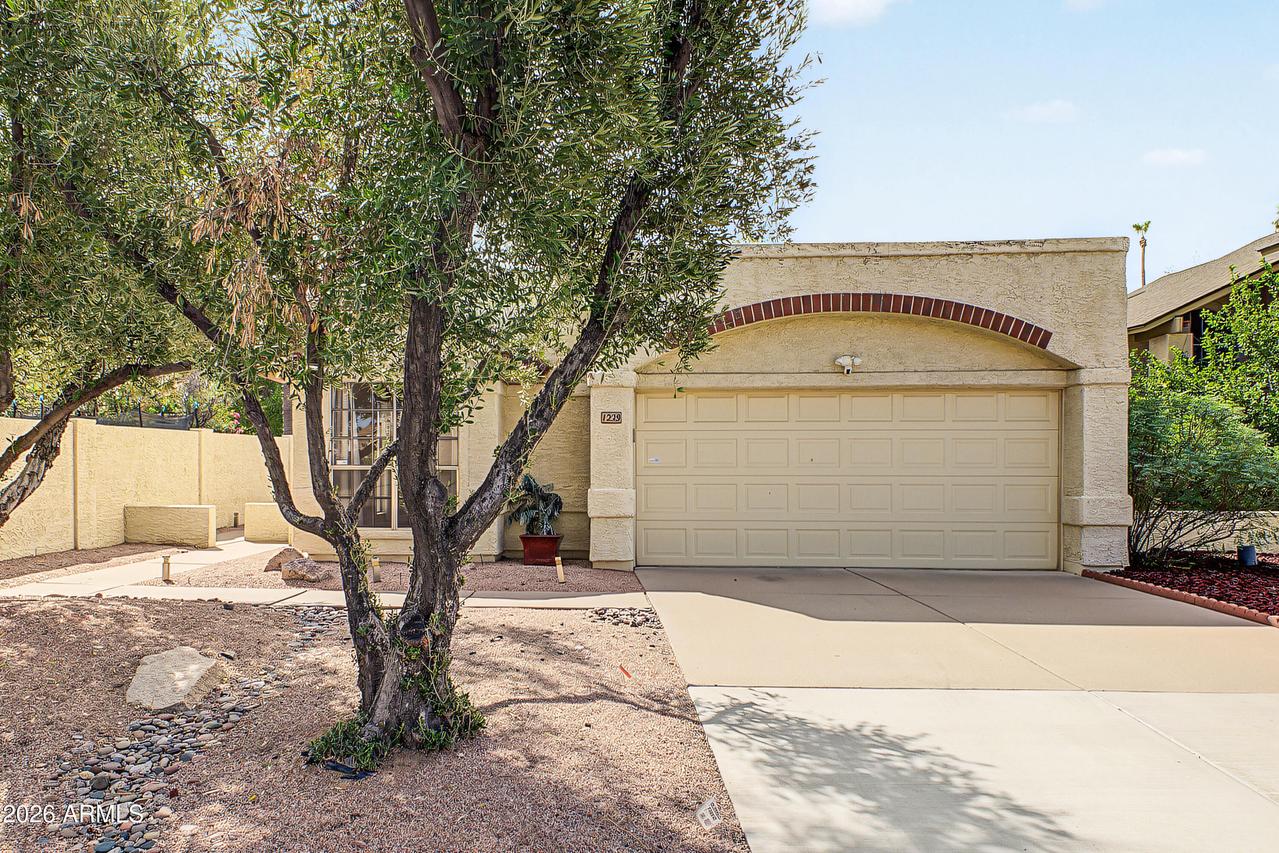 1229 W Calle Del Norte, Chandler, AZ 85224