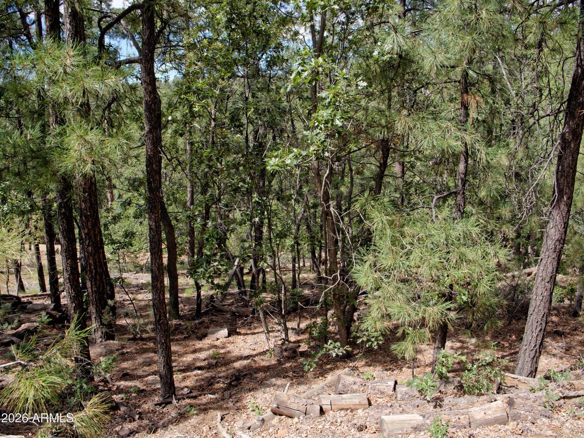 015&016 S Ponderosa Dr. #15, Prescott, AZ 86303