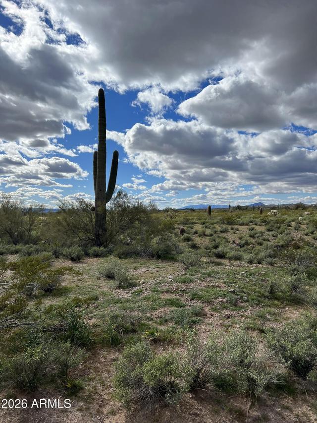 N 339th Ave. #49, Wickenburg, AZ 85390