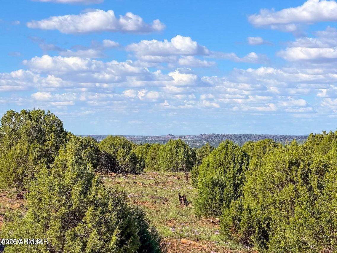 8025 Colt Ln Lot 5 8 Acres #-, Show Low, AZ 85901