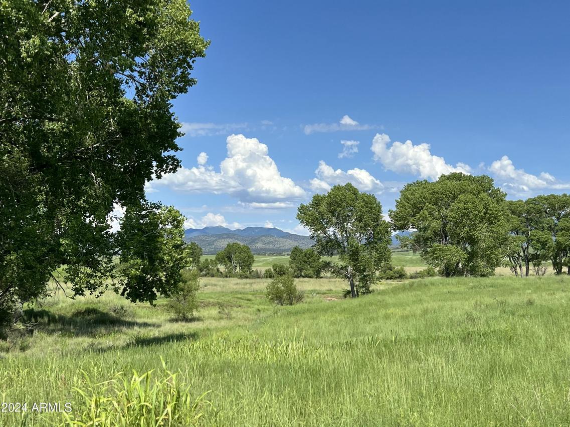 TBD San Rafael Valley Rd., Patagonia, AZ 85624
