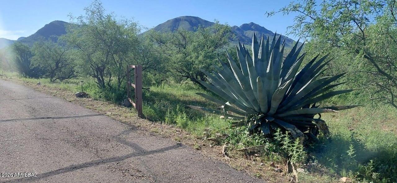 1889 Roma Ct. #231, Rio Rico, AZ 85648