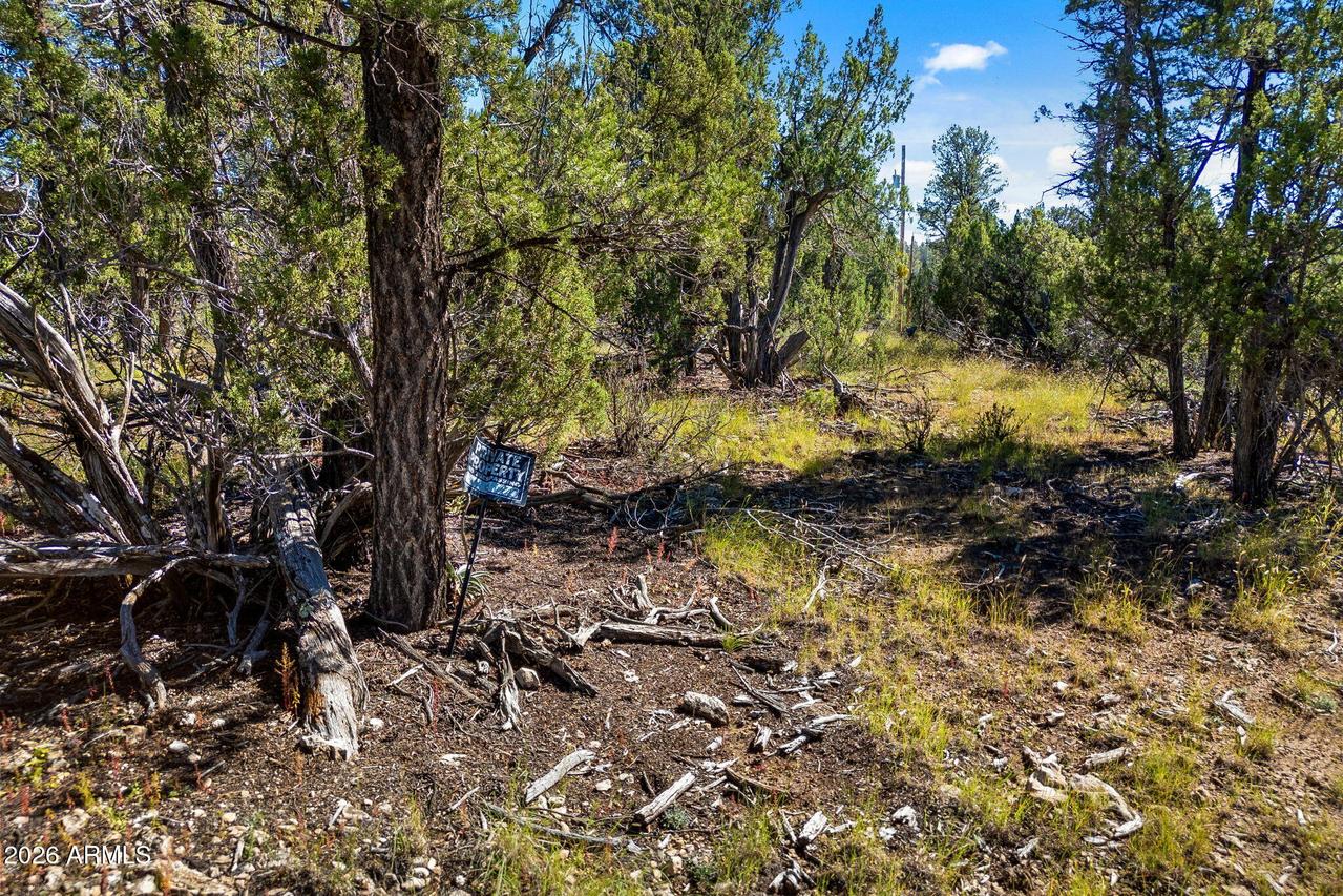 1948 Elk Rd. #029E, Heber, AZ 85928
