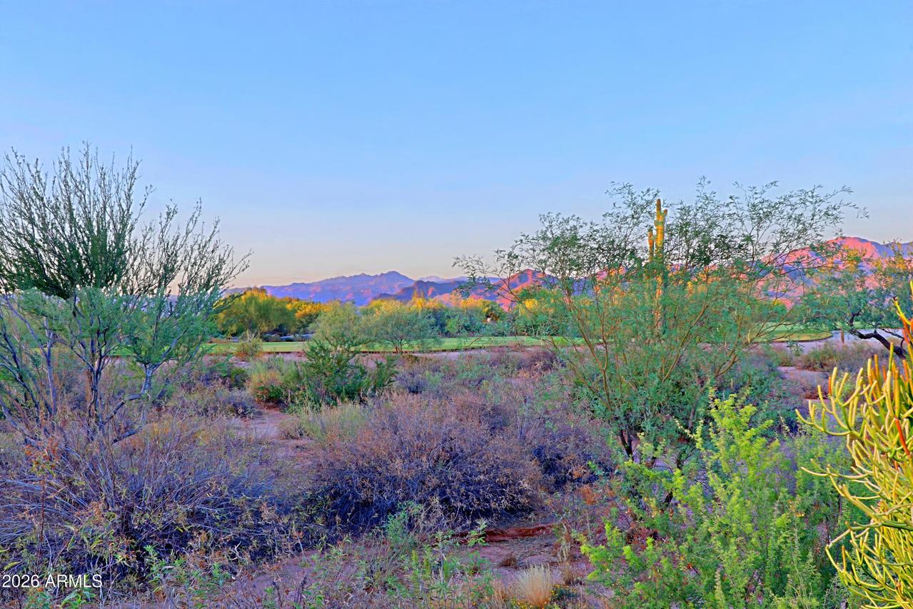 18022 E Vista Desierto, Rio Verde, AZ 85263