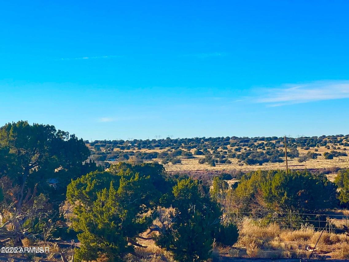 9747 Willis Hill Trl 40 Acres #-, Snowflake, AZ 85937