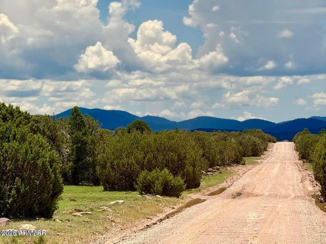 121 Co Rd 8051 #-, Concho, AZ 85924