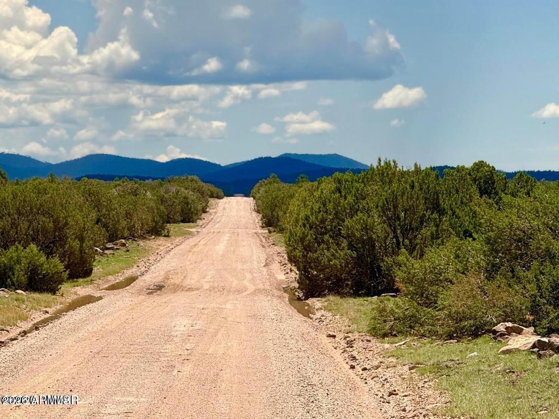 125 Co Rd 8051 #-, Concho, AZ 85924