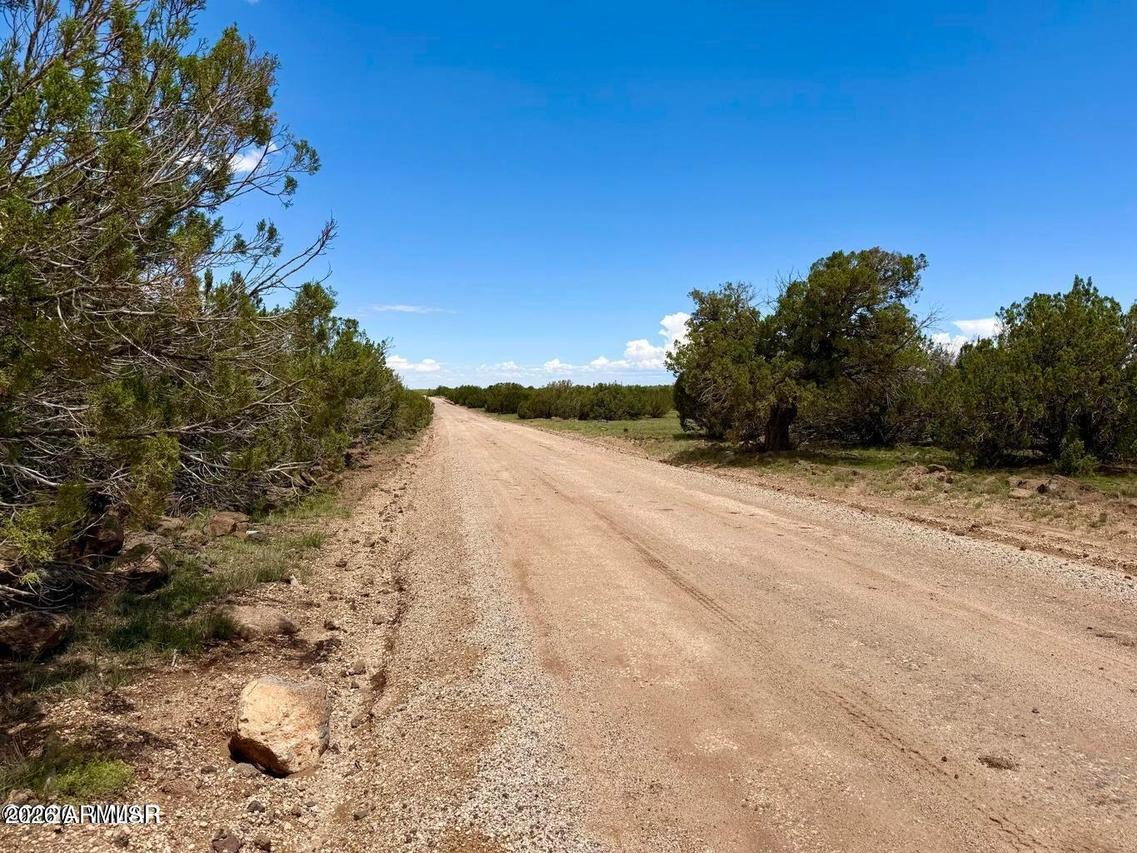 129 Co Rd 8051 #-, Concho, AZ 85924