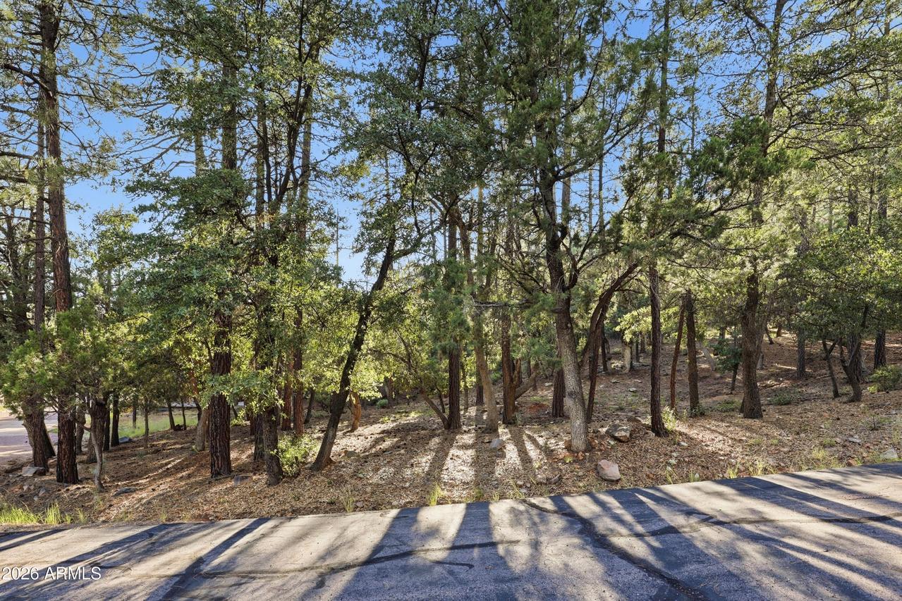 98 N Trails End Dr., Pine, AZ 85544