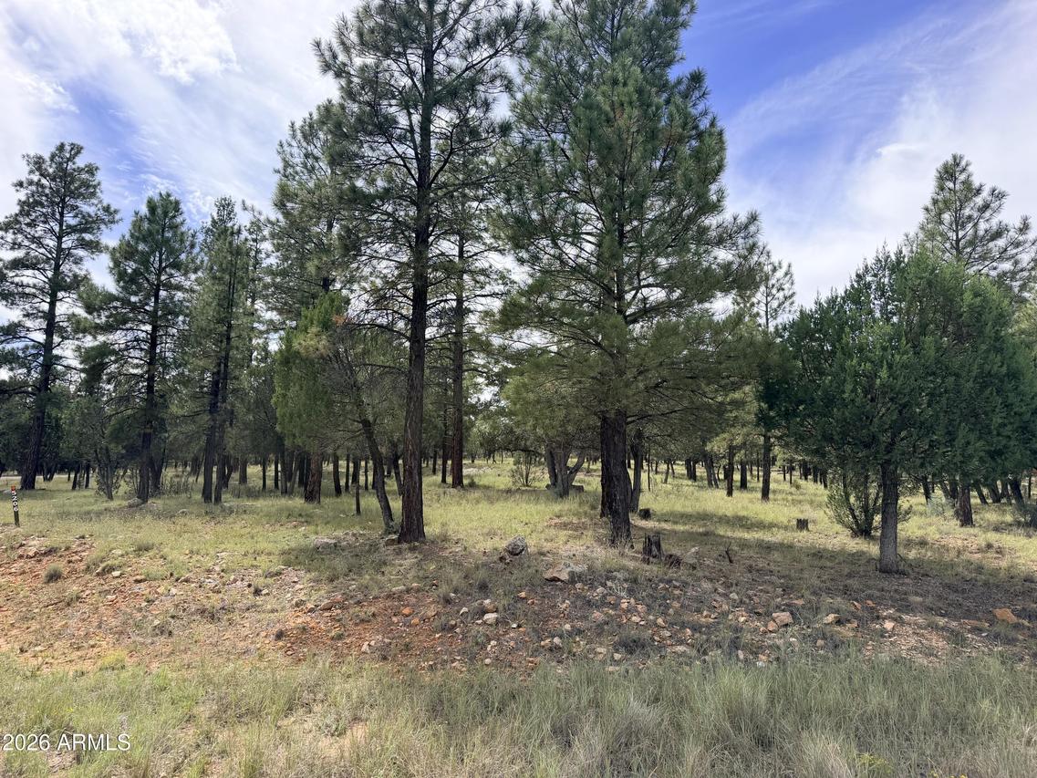 5206 Starlight Dr. #166, Happy Jack, AZ 86024