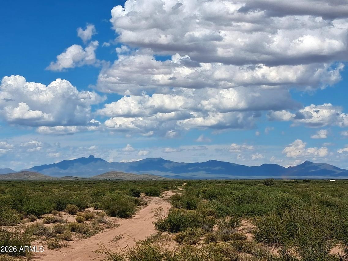 TBD Shepherd Hills Rd. #40, Pearce, AZ 85625