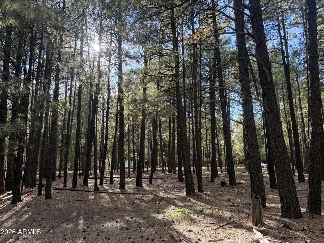 2661 Vacation Dr. #549, Forest Lakes, AZ 85931