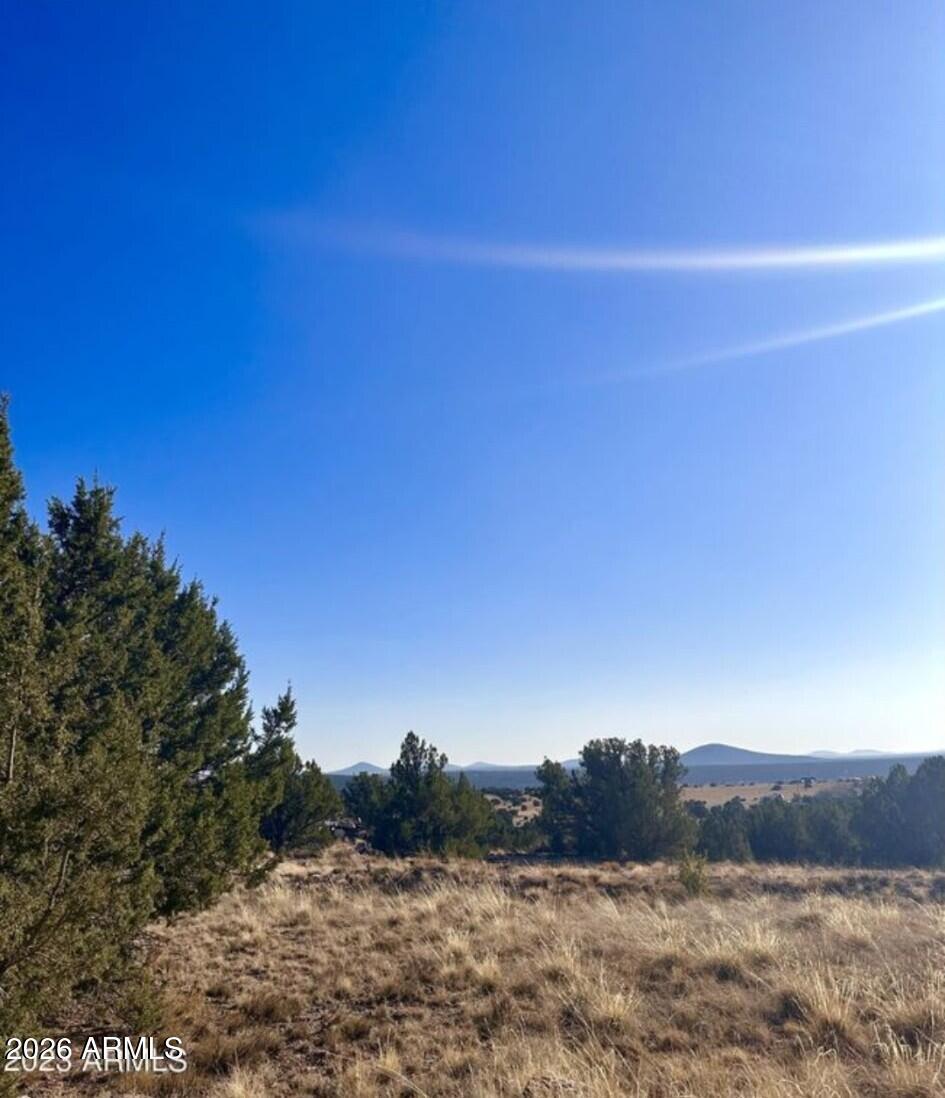 14 8249 #38, Concho, AZ 85924