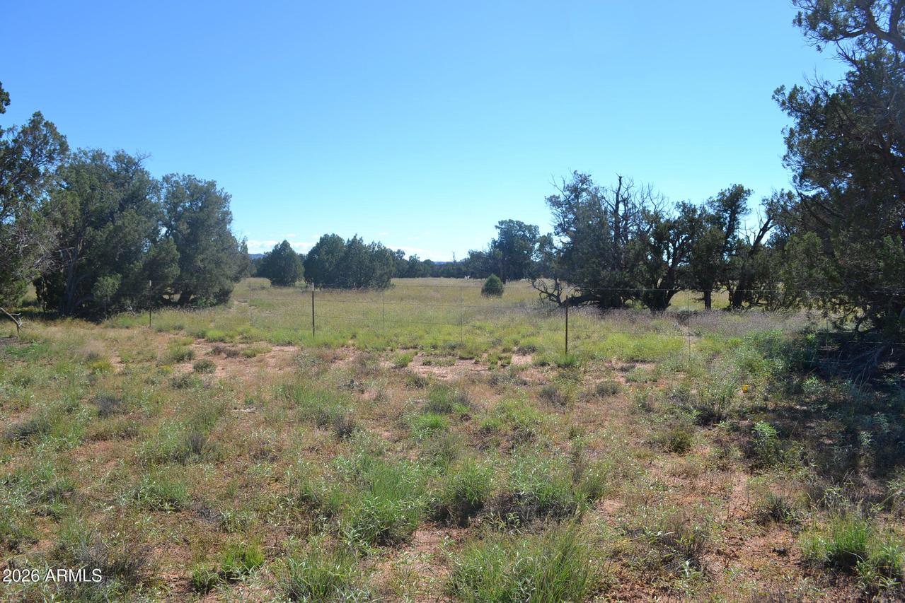 TBD N5549 #180, Concho, AZ 85924