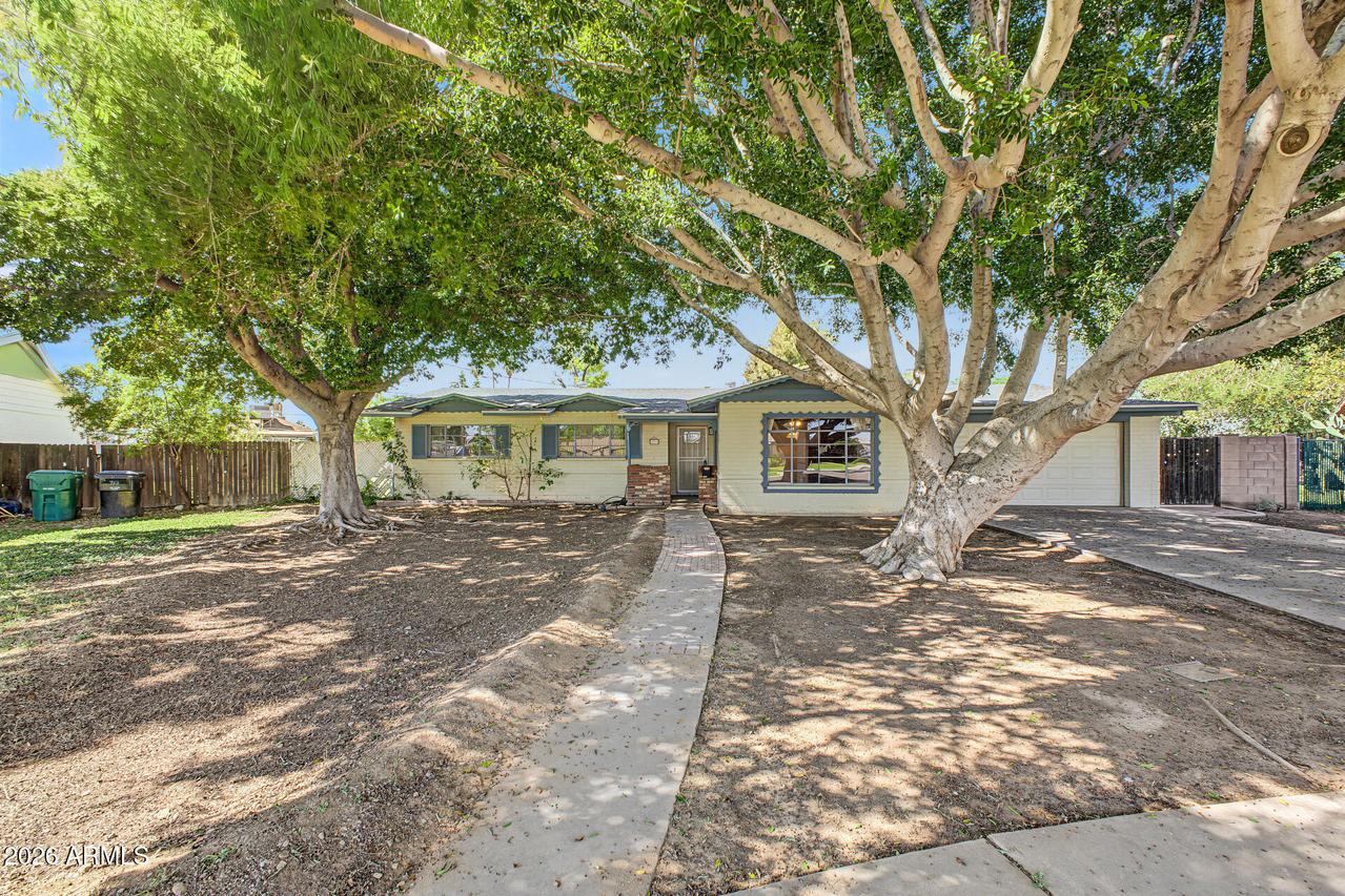 650 N Olive, Mesa, AZ 85203
