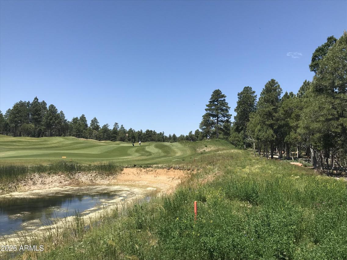 4241 W Falling Leaf Rd. #319, Show Low, AZ 85901