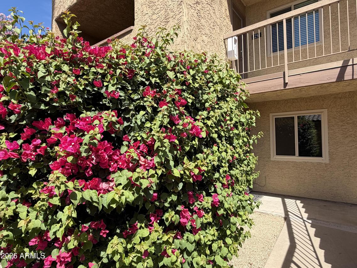 5877 N Granite Reef Rd. #1151, Scottsdale, AZ 85250
