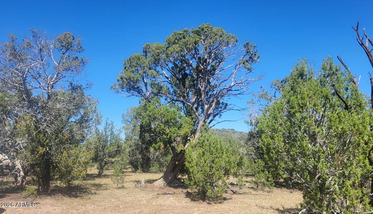 LOT1063 Mystic Way #1063, Williams, AZ 86046