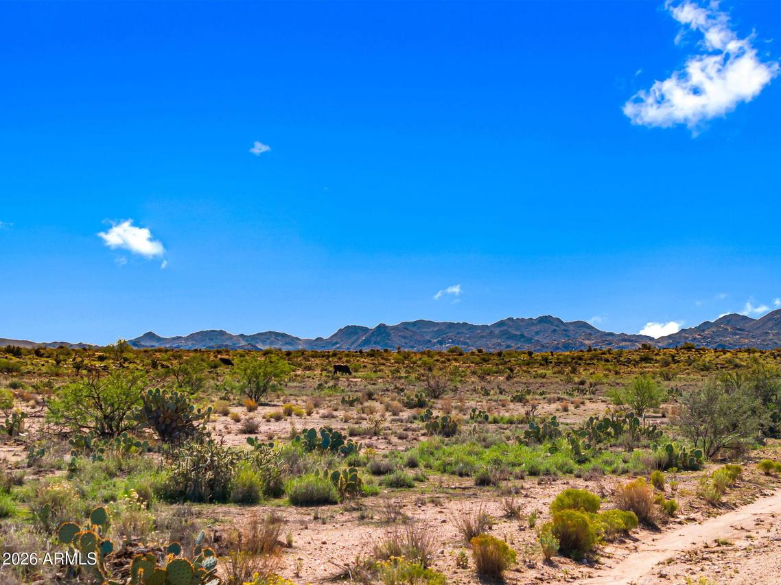 Lot 55 S Joe Hancock Tr. #55, Congress, AZ 85332