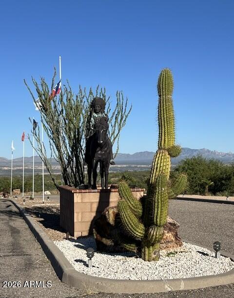 1915 Casa Del Rico Lot #104 Dr. #104, Benson, AZ 85602