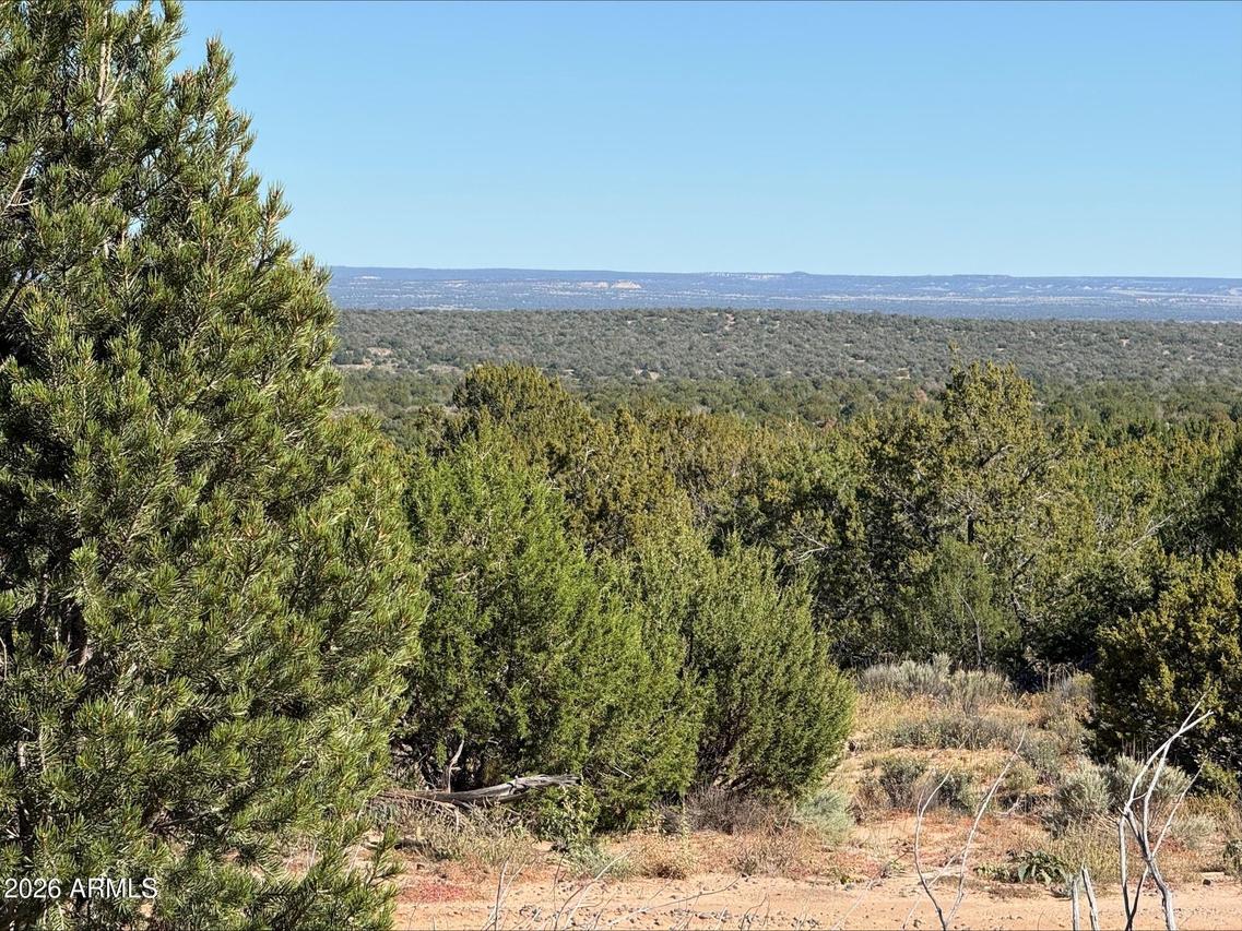 n729 N N7320 #32, St Johns, AZ 85936