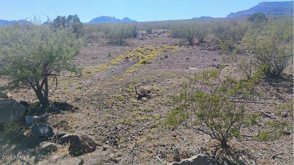 N Blaisdell Rd. #8, Golden Valley, AZ 86413