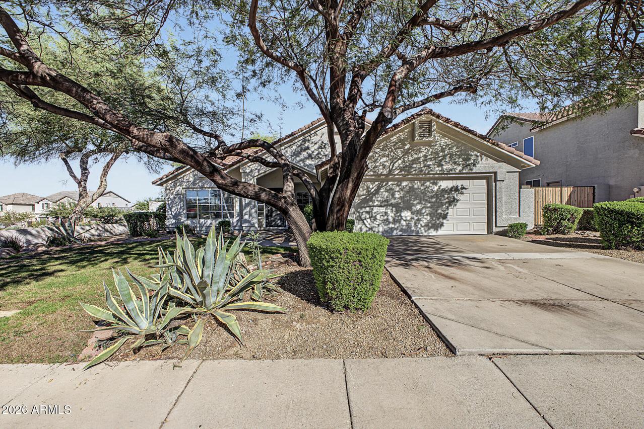 6004 E Sierra Blanca St., Mesa, AZ 85215
