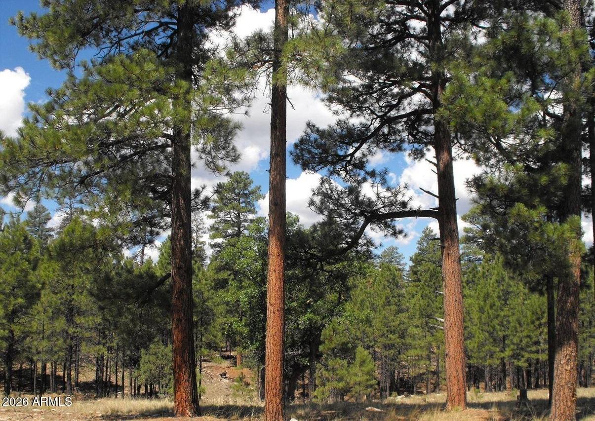 4622 Juniper Dr. #116, Happy Jack, AZ 86024