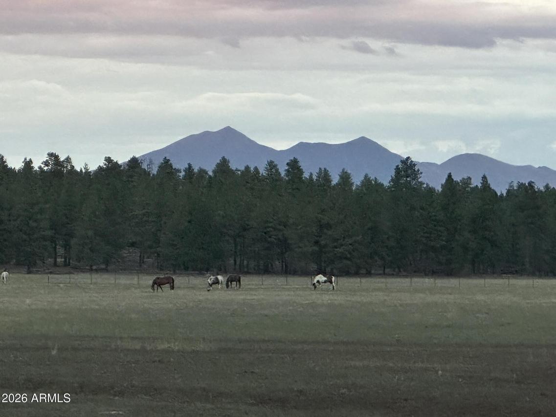 XXXX E Fsr 700 And Fsr 78 #2, Flagstaff, AZ 86005