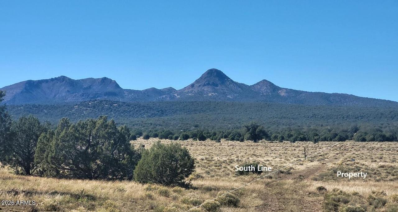 232 Six Shooter Tr., Williams, AZ 86046