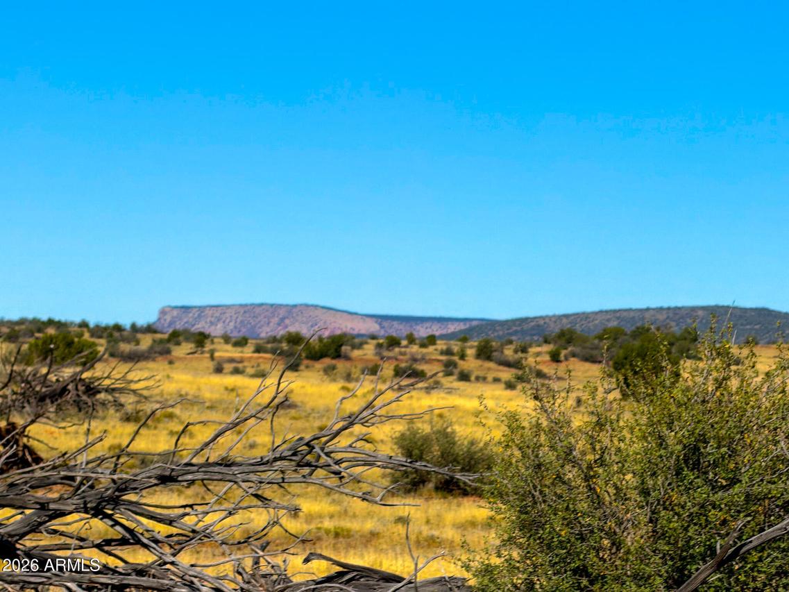 W Jandscountry Ln 40 Acres #-, Seligman, AZ 86337