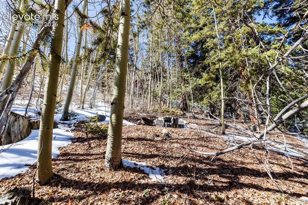 944 Roberts Rd., Alma, CO 80420